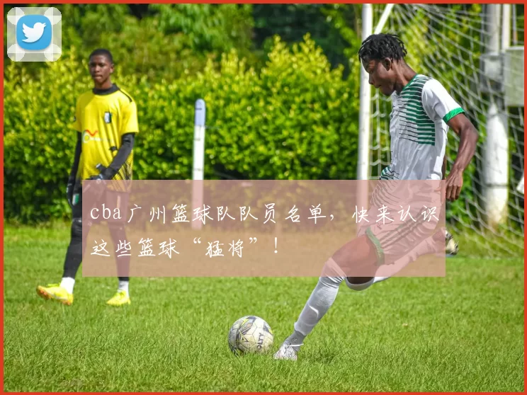 cba广州篮球队队员名单，快来认识这些篮球“猛将”！