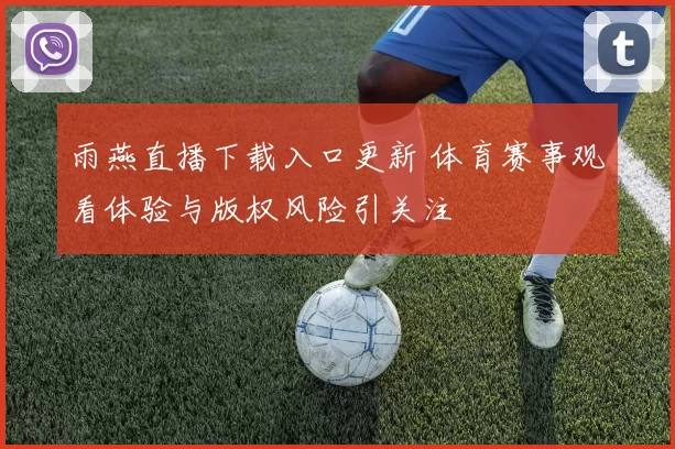 雨燕直播下载入口更新 体育赛事观看体验与版权风险引关注