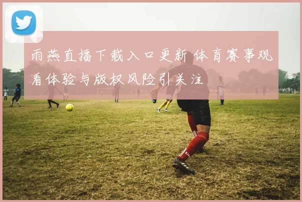 雨燕直播下载入口更新 体育赛事观看体验与版权风险引关注
